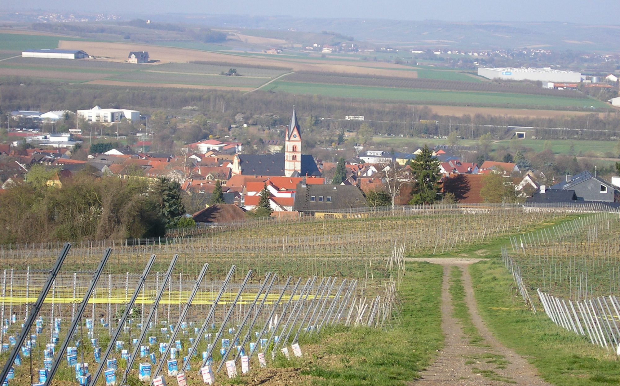 News CDU Stadtverband NiederOlm